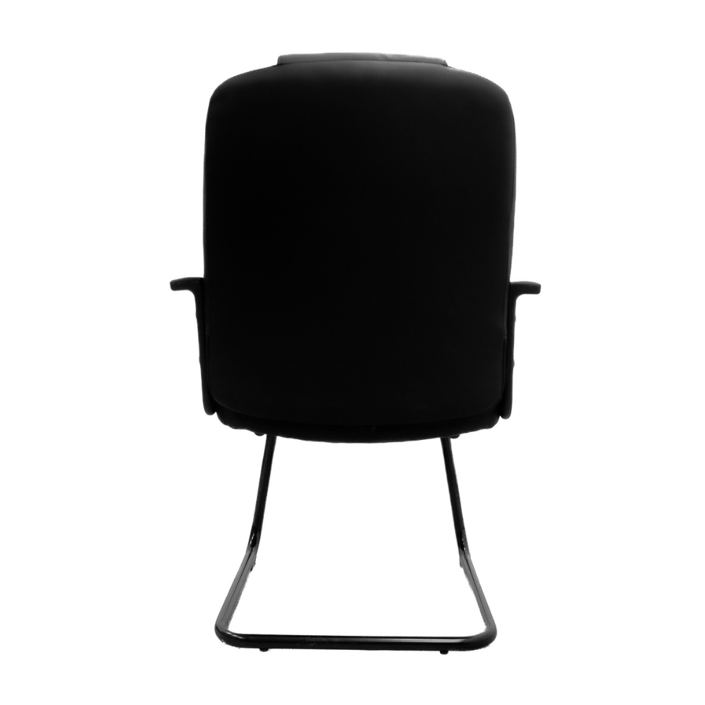 Sillón Pablo Visita